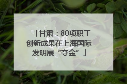 甘肃：80项职工创新成果在上海国际发明展“夺金”