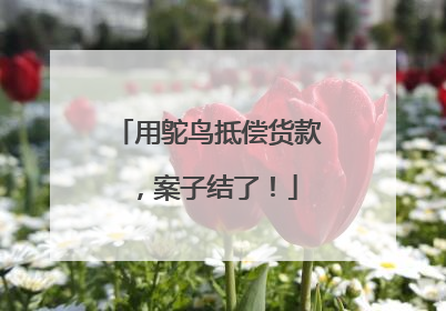 用鸵鸟抵偿货款，案子结了！