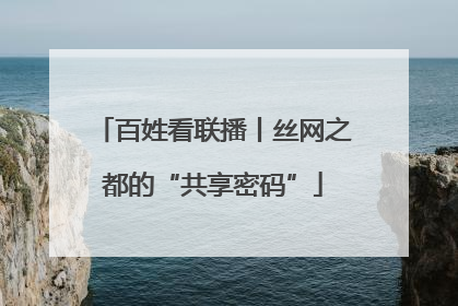 百姓看联播丨丝网之都的“共享密码”