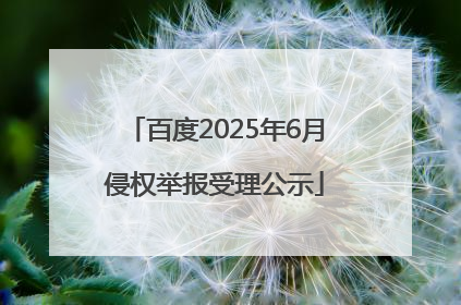 百度2025年6月侵权举报受理公示