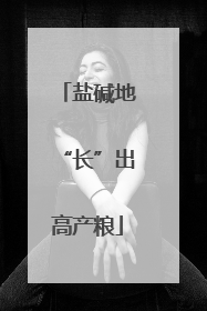盐碱地“长”出高产粮