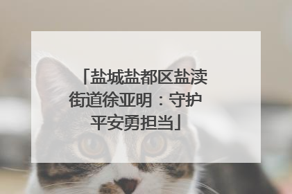盐城盐都区盐渎街道徐亚明：守护平安勇担当