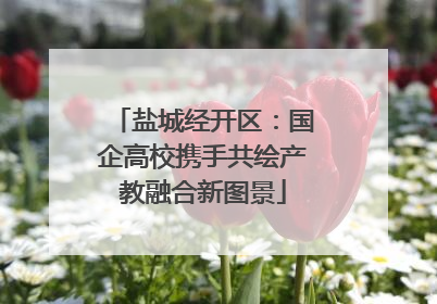 盐城经开区：国企高校携手共绘产教融合新图景