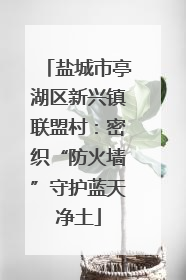 盐城市亭湖区新兴镇联盟村：密织“防火墙”守护蓝天净土