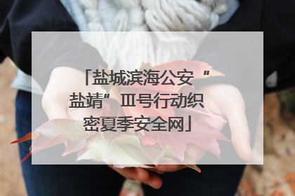 盐城滨海公安“盐靖”Ⅲ号行动织密夏季安全网