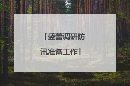 盛蕾调研防汛准备工作