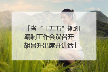 省“十五五”规划编制工作会议召开 胡昌升出席并讲话