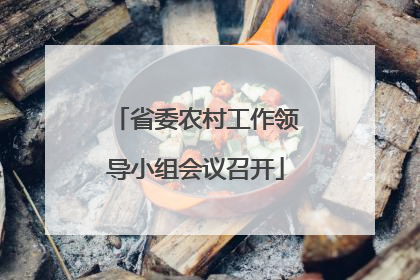 省委农村工作领导小组会议召开