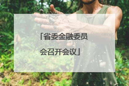 省委金融委员会召开会议