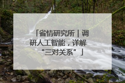 省情研究所｜调研人工智能，详解“三对关系”