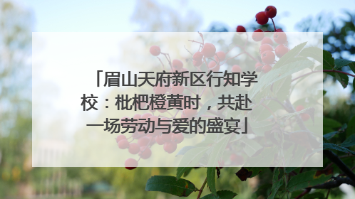 眉山天府新区行知学校：枇杷橙黄时，共赴一场劳动与爱的盛宴
