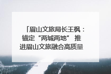 眉山文旅局长王枫：锚定“两城两地” 推进眉山文旅融合高质量发展｜文旅局长说
