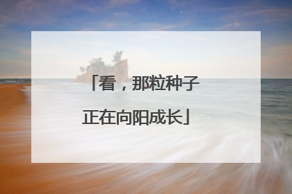 看，那粒种子正在向阳成长