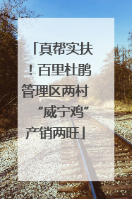 真帮实扶！百里杜鹃管理区两村“威宁鸡”产销两旺