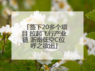 签下20多个项目 拉起飞行产业链 浙南低空C位呼之欲出