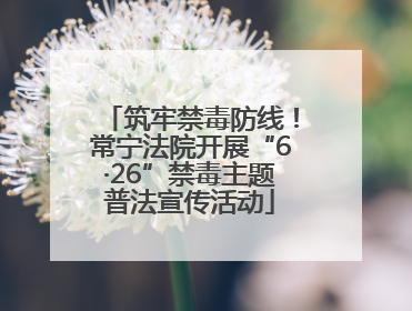 筑牢禁毒防线！常宁法院开展“6·26”禁毒主题普法宣传活动