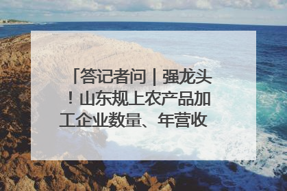 答记者问｜强龙头！山东规上农产品加工企业数量、年营收均居全国首位