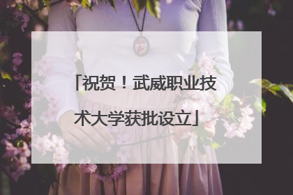 祝贺！武威职业技术大学获批设立