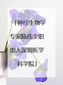 神经生物学专家陆伟全职加入深圳医学科学院