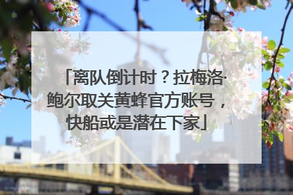 离队倒计时？拉梅洛·鲍尔取关黄蜂官方账号，快船或是潜在下家