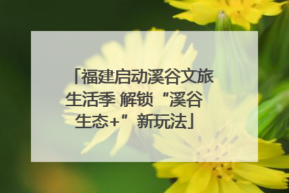 福建启动溪谷文旅生活季 解锁“溪谷生态+”新玩法
