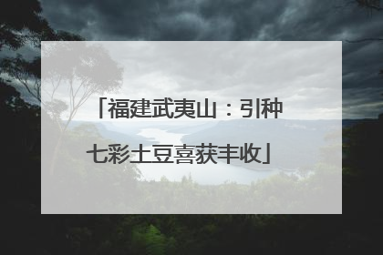 福建武夷山：引种七彩土豆喜获丰收