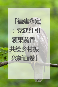 福建永定：党建红引领果蔬香 共绘乡村振兴新画卷