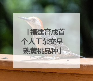 福建育成首个人工杂交早熟黄桃品种