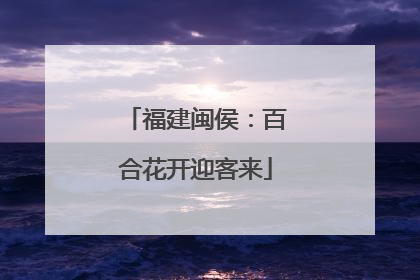 福建闽侯：百合花开迎客来