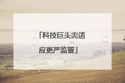 科技巨头需适应更严监管