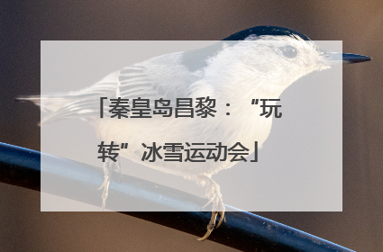 秦皇岛昌黎：“玩转”冰雪运动会