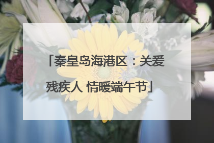 秦皇岛海港区：关爱残疾人 情暖端午节