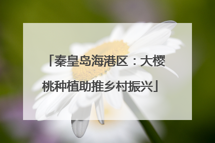 秦皇岛海港区：大樱桃种植助推乡村振兴