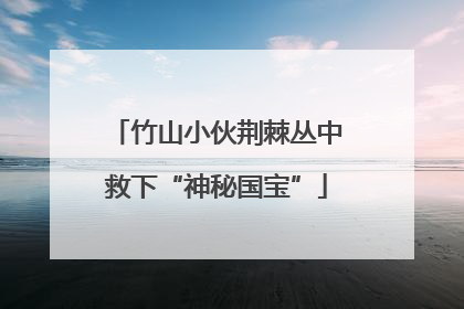 竹山小伙荆棘丛中救下“神秘国宝”