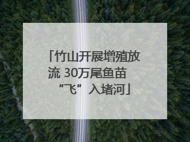 竹山开展增殖放流 30万尾鱼苗“飞”入堵河