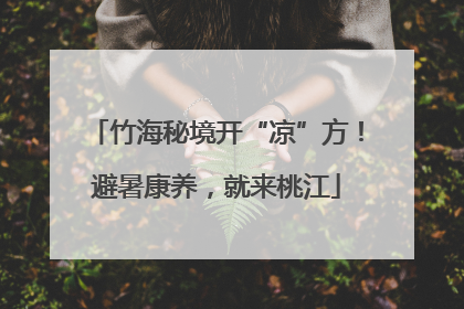 竹海秘境开“凉”方！避暑康养，就来桃江