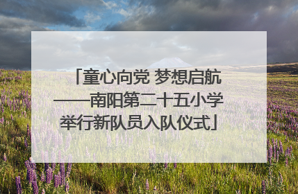 童心向党 梦想启航——南阳第二十五小学举行新队员入队仪式