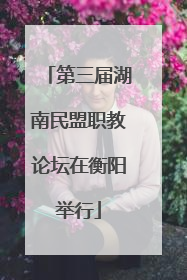 第三届湖南民盟职教论坛在衡阳举行