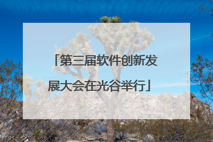 第三届软件创新发展大会在光谷举行