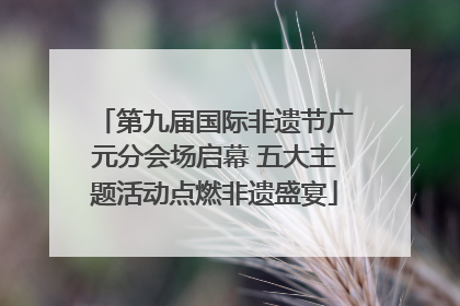 第九届国际非遗节广元分会场启幕 五大主题活动点燃非遗盛宴