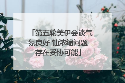 第五轮美伊会谈气氛良好 铀浓缩问题存在妥协可能