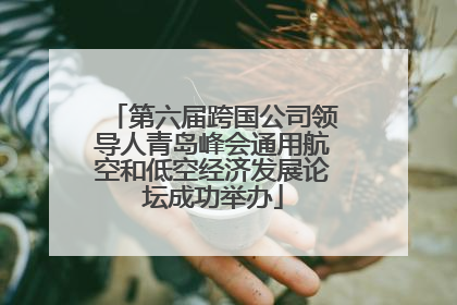 第六届跨国公司领导人青岛峰会通用航空和低空经济发展论坛成功举办