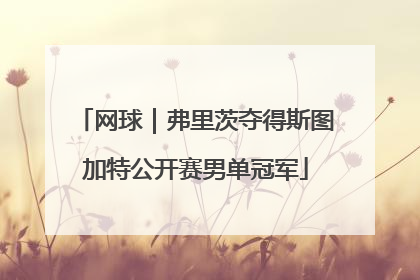 网球｜弗里茨夺得斯图加特公开赛男单冠军
