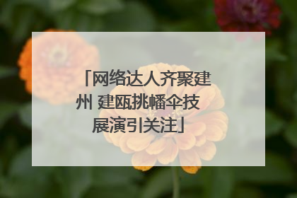 网络达人齐聚建州 建瓯挑幡伞技展演引关注