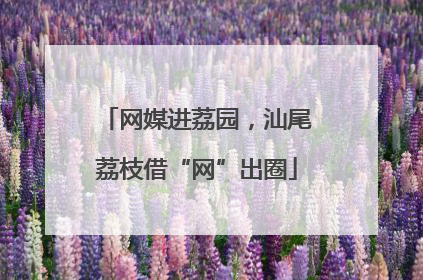网媒进荔园，汕尾荔枝借“网”出圈