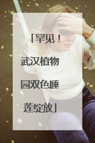 罕见！武汉植物园双色睡莲绽放