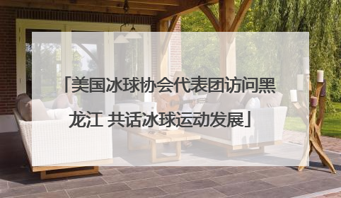 美国冰球协会代表团访问黑龙江 共话冰球运动发展