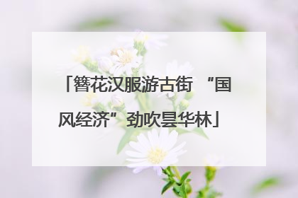 簪花汉服游古街 “国风经济”劲吹昙华林