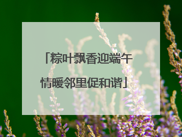 粽叶飘香迎端午 情暖邻里促和谐