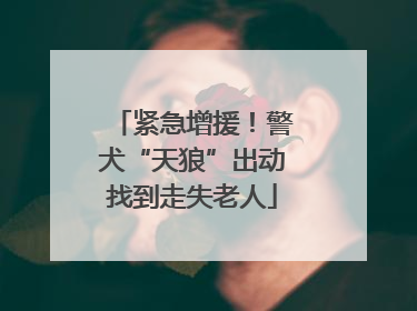 紧急增援！警犬“天狼”出动找到走失老人